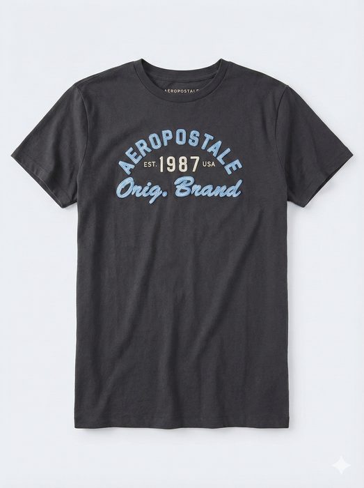 AERO LEVEL 2 GRAPHIC TEES SMOKED PEARL
