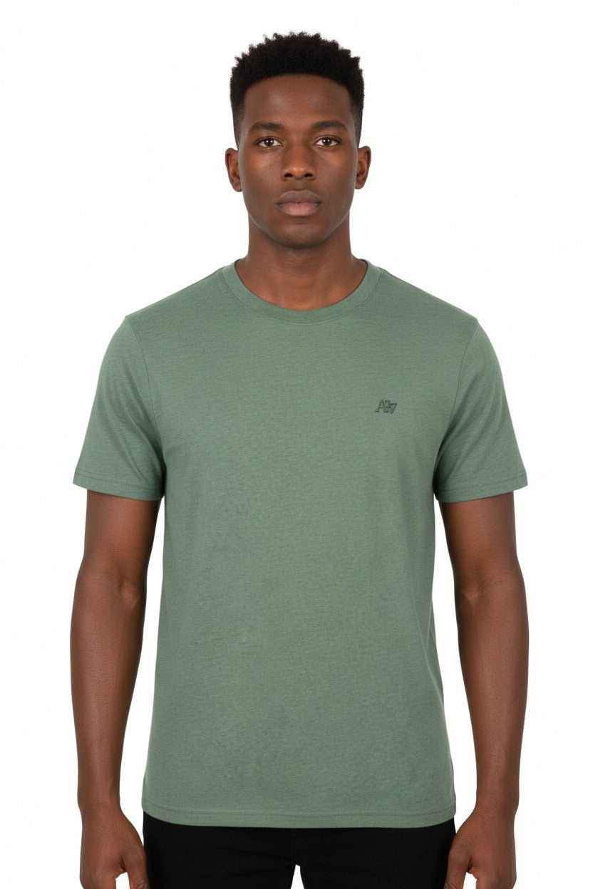 Camiseta Basica Green Gables Para Hombre Aeropostale Guys Ss Tees 4204