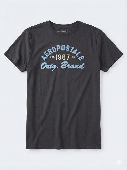 AERO LEVEL 2 GRAPHIC TEES SMOKED PEARL