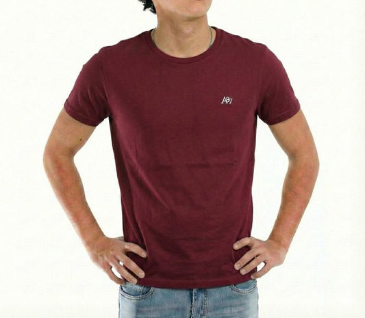 AERO GUYS SS TEES POMEGRANATE