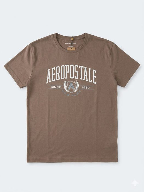 AERO LEVEL 2 GRAPHIC TEES HOT CHOCOLATE