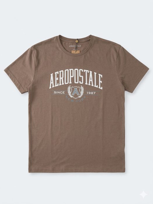AERO LEVEL 2 GRAPHIC TEES HOT CHOCOLATE