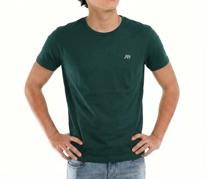 AERO GUYS SS TEES GREEN GABLES