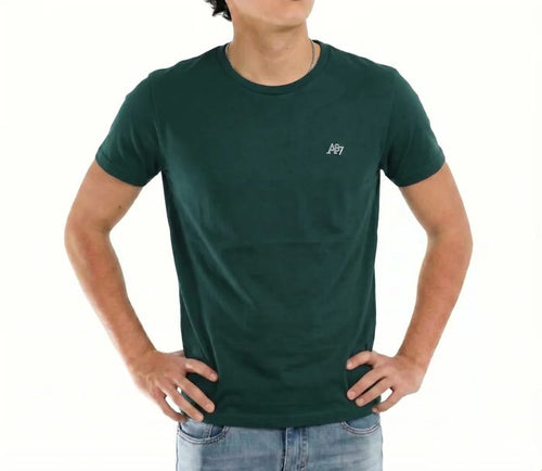 AERO GUYS SS TEES GREEN GABLES