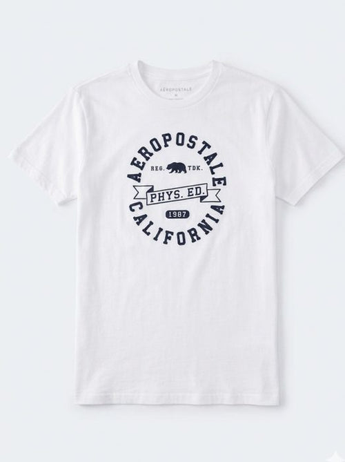 AERO LEVEL 2 GRAPHIC TEES BIRCH