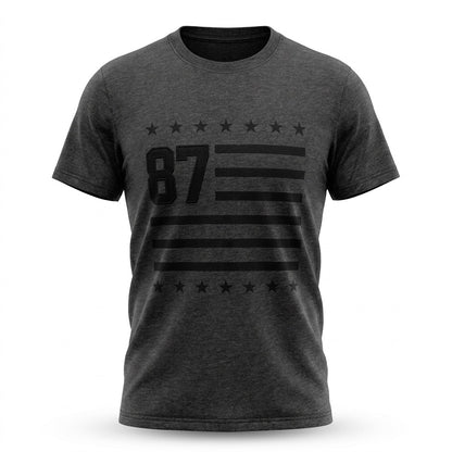 AERO LEVEL 2 GRAPHIC TEES CHARCOAL HEATHER GREY