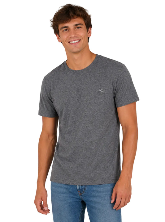 Camiseta Básica Hombre Aero Guys Ss Tees Charcoal Heather Grey 4240