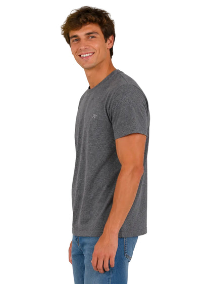 Camiseta Básica Hombre Aero Guys Ss Tees Charcoal Heather Grey 4240