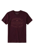 Camiseta Para Hombre Aero Level 2  Graphic Tees Port Royale 6181