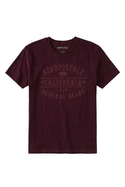Camiseta Para Hombre Aero Level 2  Graphic Tees Port Royale 6173