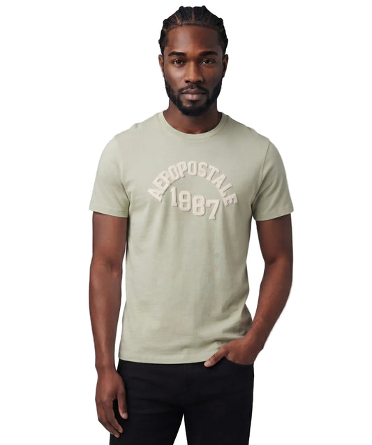 AERO LEVEL 2 GRAPHIC TEES SURF SPRAY