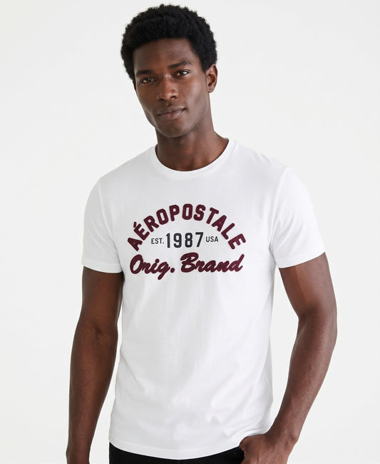 AERO LEVEL 2 GRAPHIC TEES BIRCH