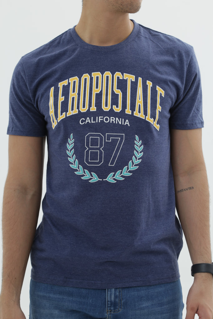 Camiseta Para Hombre Blue Gratin Aero Level 1 Graphic Tees Vallarta