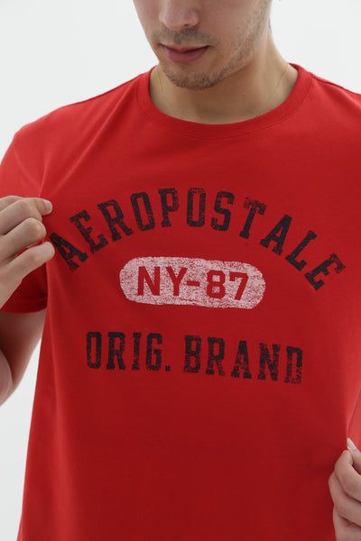 Camiseta Para Hombre Fuzzy Print Aero Level 1 Graphic Tees True Red