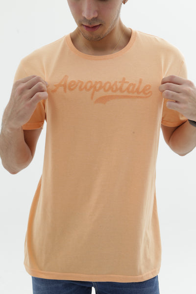 Camiseta Para Hombre Printed Doormat Aero Level 2 Graphic Tees Pureed Pumpkin