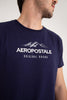 Camiseta Para Hombre Aero Level 2 Graphic Tees Insignia Blue