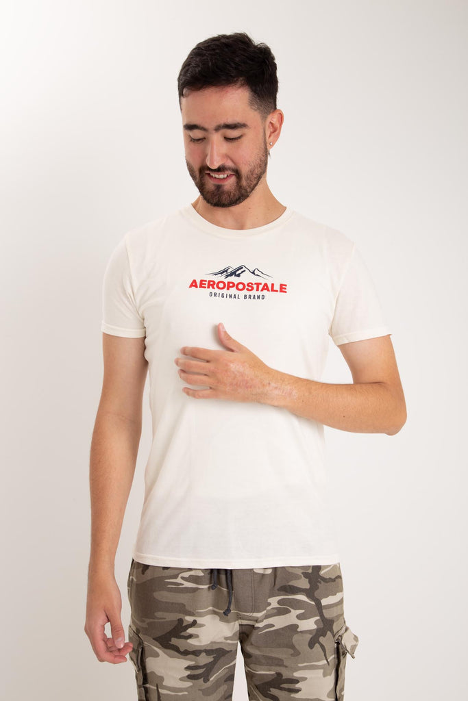 Aero Level 1 Graphic Tees Bleach Ss
