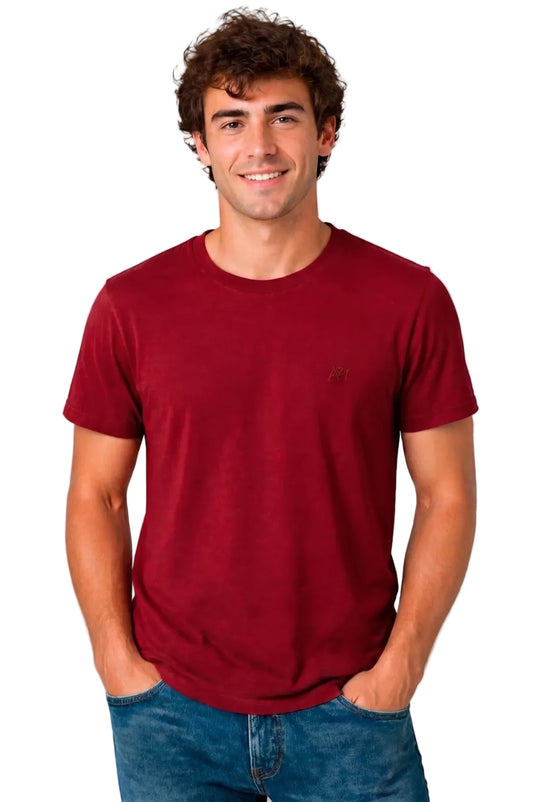 Camiseta Básica de Hombre Aero Guys Ss Tees Earth Red 4240