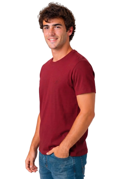 Camiseta Básica de Hombre Aero Guys Ss Tees Earth Red 4240