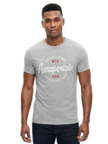Camiseta Para Hombre Aero Level 1 Graphic Tees Light Heather Grey 7114