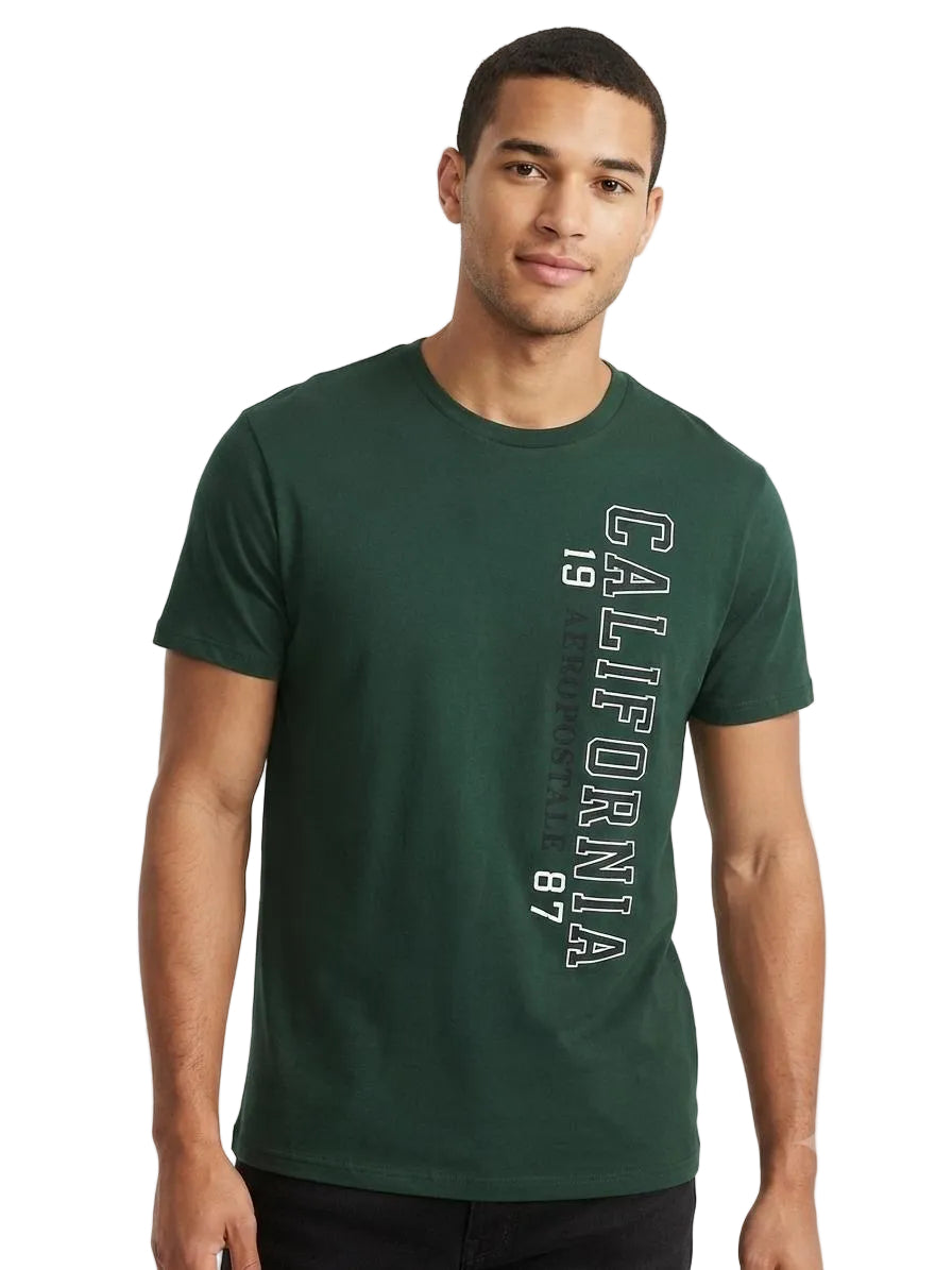 Camiseta Para Hombre Aero Level 2 Graphic Tees Green Gables 6174