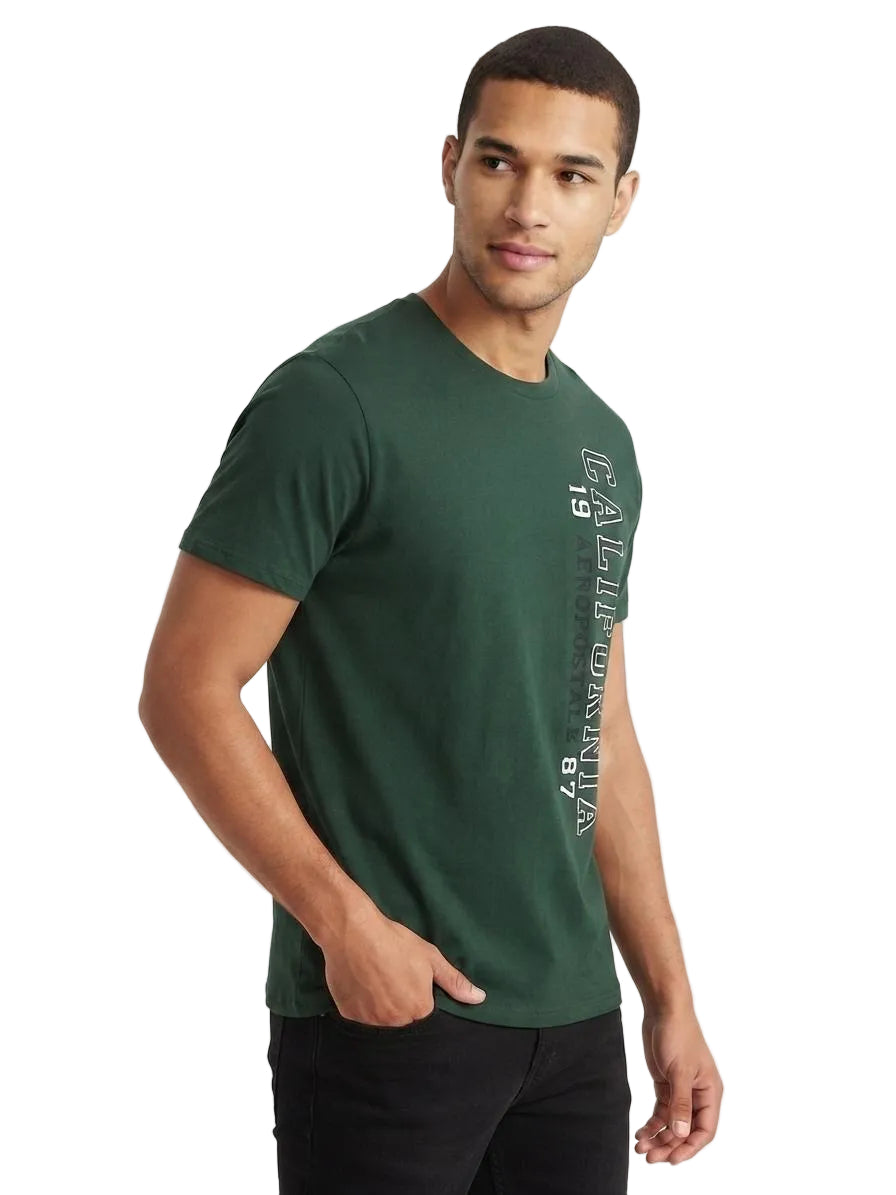 Camiseta Para Hombre Aero Level 2 Graphic Tees Green Gables 6174