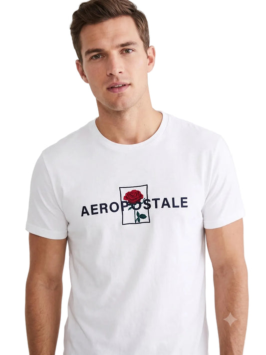Camiseta Para Hombre Aero Level 2 Graphic Tees Tofu 4944