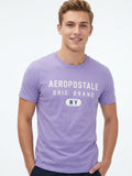 Camiseta Para Hombre Aero Level 1 Graphic Tees Violet Tulip 4606