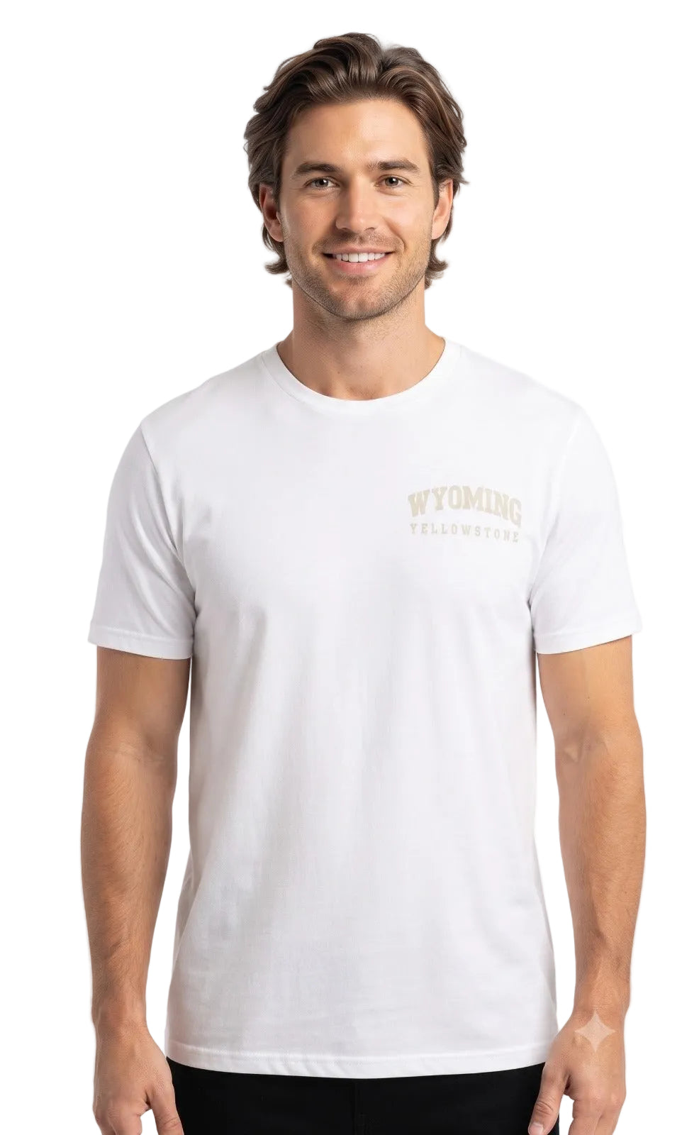 Camiseta Para Hombre Aero Guys Fashion Graphics Birch 6017