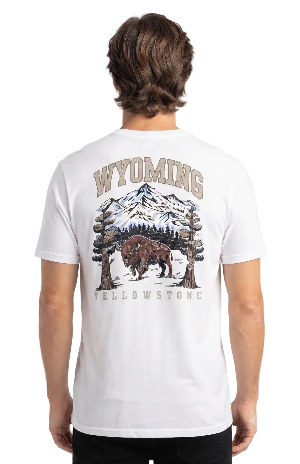 Camiseta Para Hombre Aero Guys Fashion Graphics Birch 6017