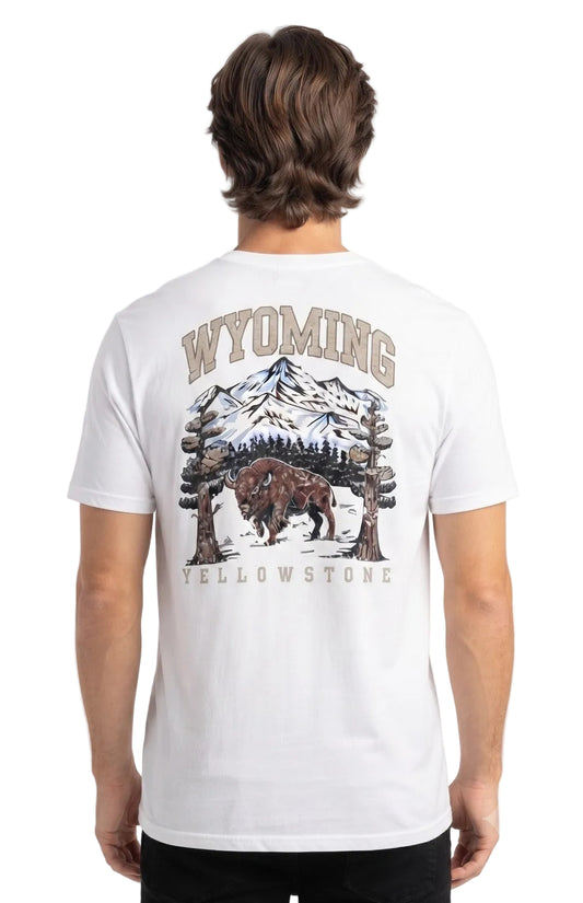 Camiseta Para Hombre Aero Guys Fashion Graphics Birch 6017