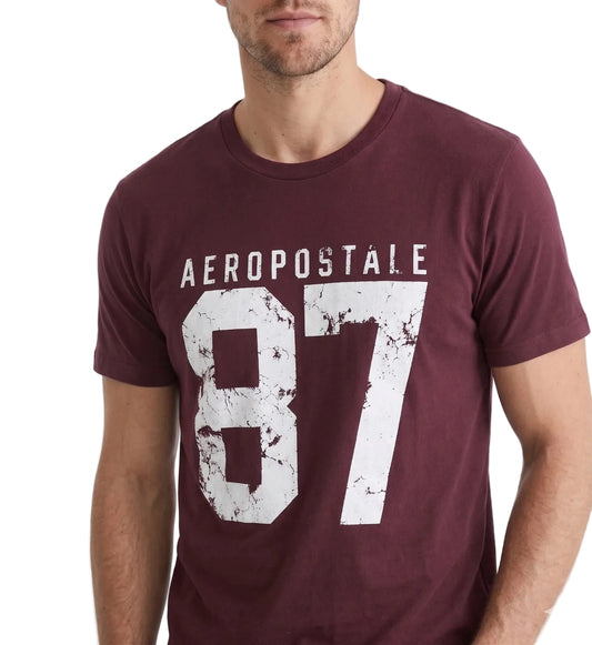 Camiseta Para Hombre Aero Level 1 Graphic Tees Port Royale 6271