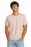 Camiseta Basica Rosada Para Hombre Aeropostale Guys Ss Tees Silver Pink  4240