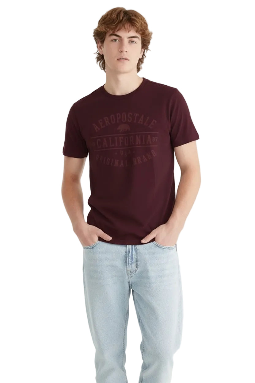 Camiseta Para Hombre Aero Level 2  Graphic Tees Port Royale 6173