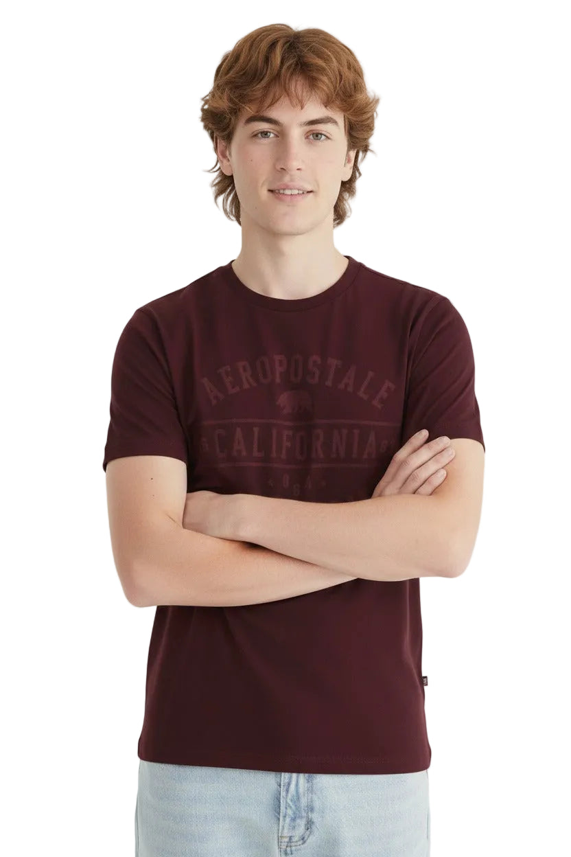 Camiseta Para Hombre Aero Level 2  Graphic Tees Port Royale 6181