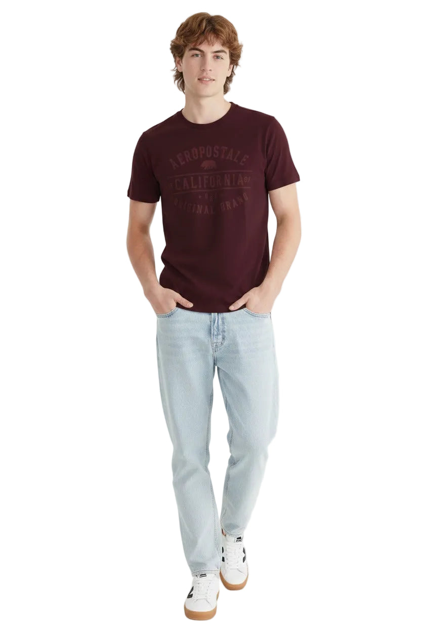 Camiseta Para Hombre Aero Level 2  Graphic Tees Port Royale 6173