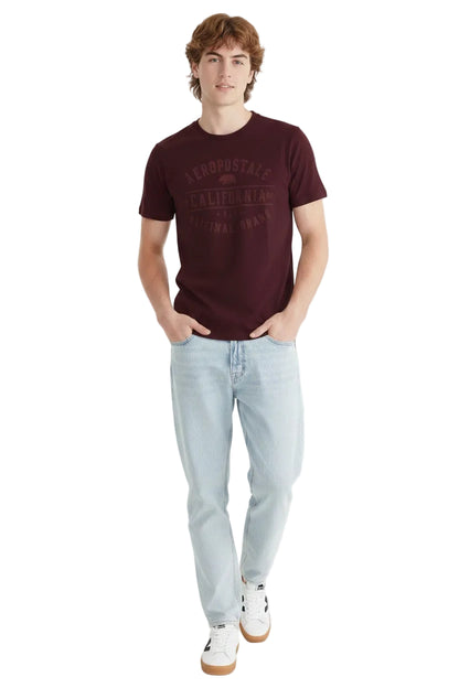 Camiseta Para Hombre Aero Level 2  Graphic Tees Port Royale 6173