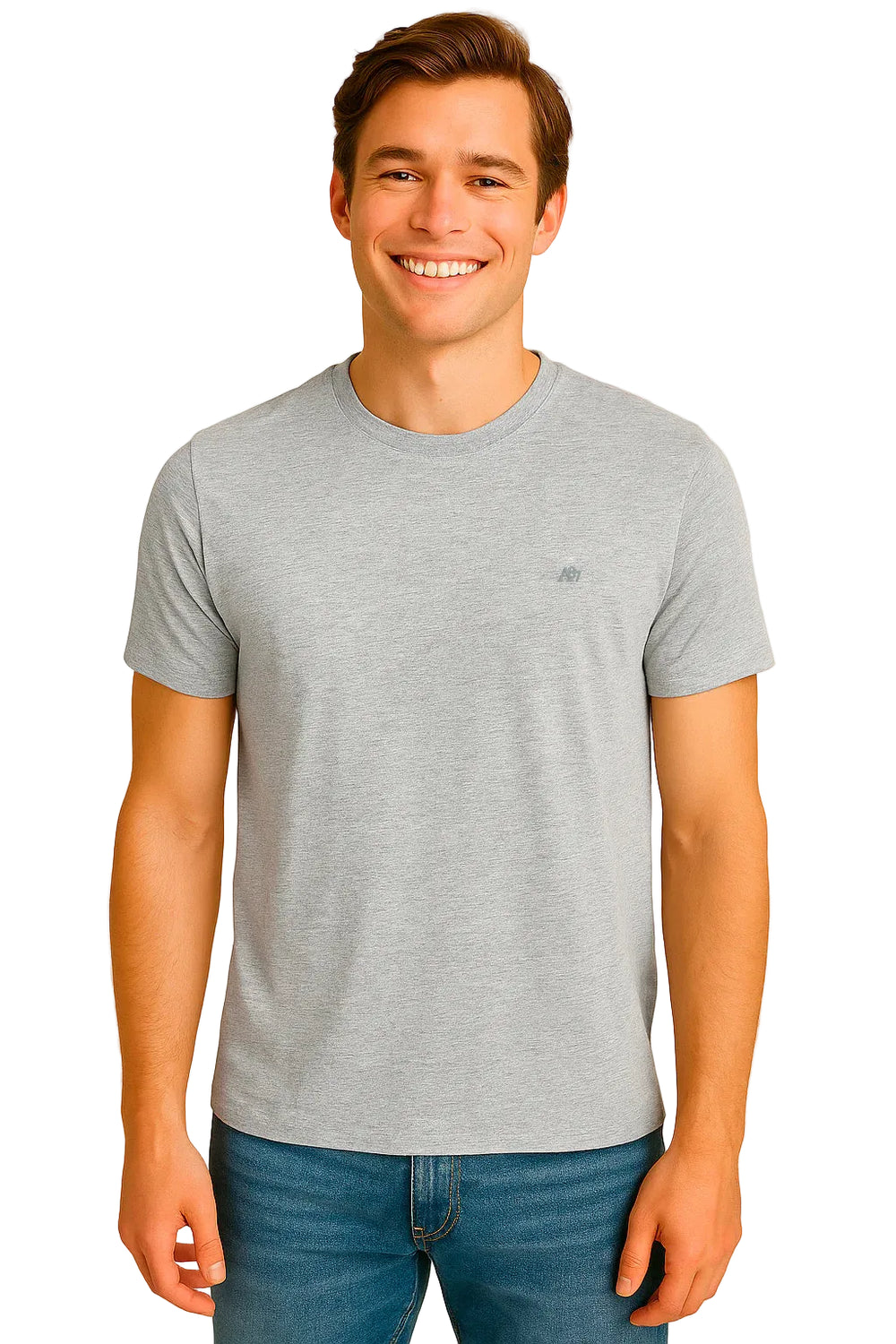 Camiseta Básica Hombre Gris Claro Aero Guys Ss Tees Light Heather Grey 4240