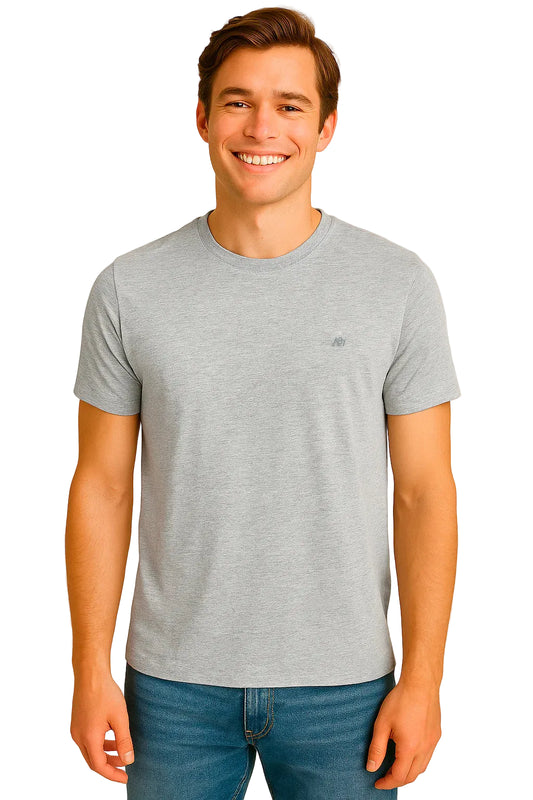 Camiseta Básica Hombre Gris Claro Aero Guys Ss Tees Light Heather Grey 4240
