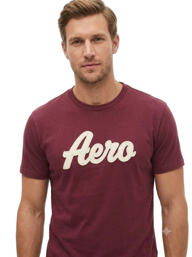 Camiseta Para Hombre Aero Level 2 Graphic Tees Fired Brick 3581