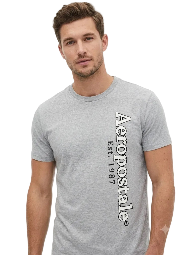 Camiseta Para Hombre Aero Level 1 Graphic Tees Grey 5891