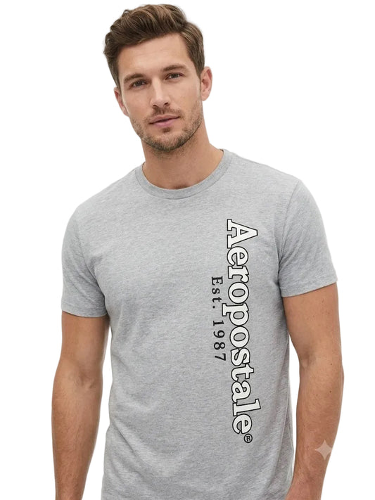 Camiseta Para Hombre Aero Level 1 Graphic Tees Grey 5891