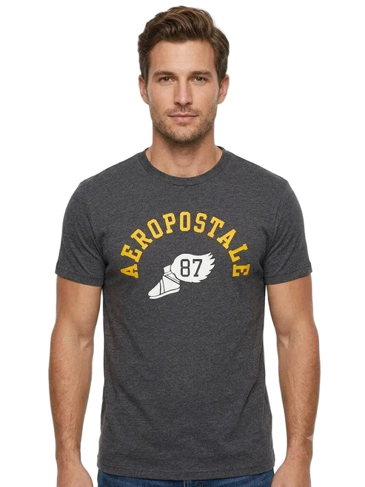 Camiseta Para Hombre Aero Level 1 Graphic Tees Chg 3822