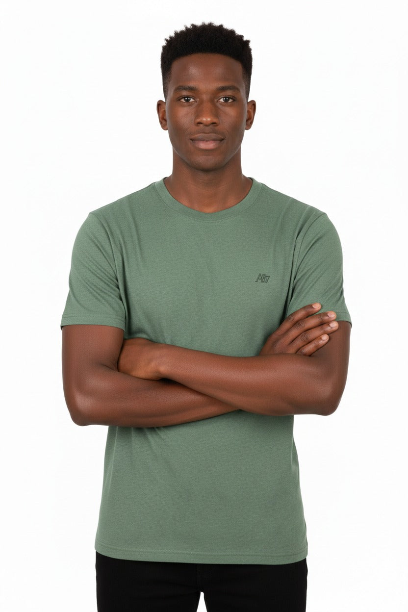Camiseta Basica Green Gables Para Hombre Aeropostale Guys Ss Tees 4204