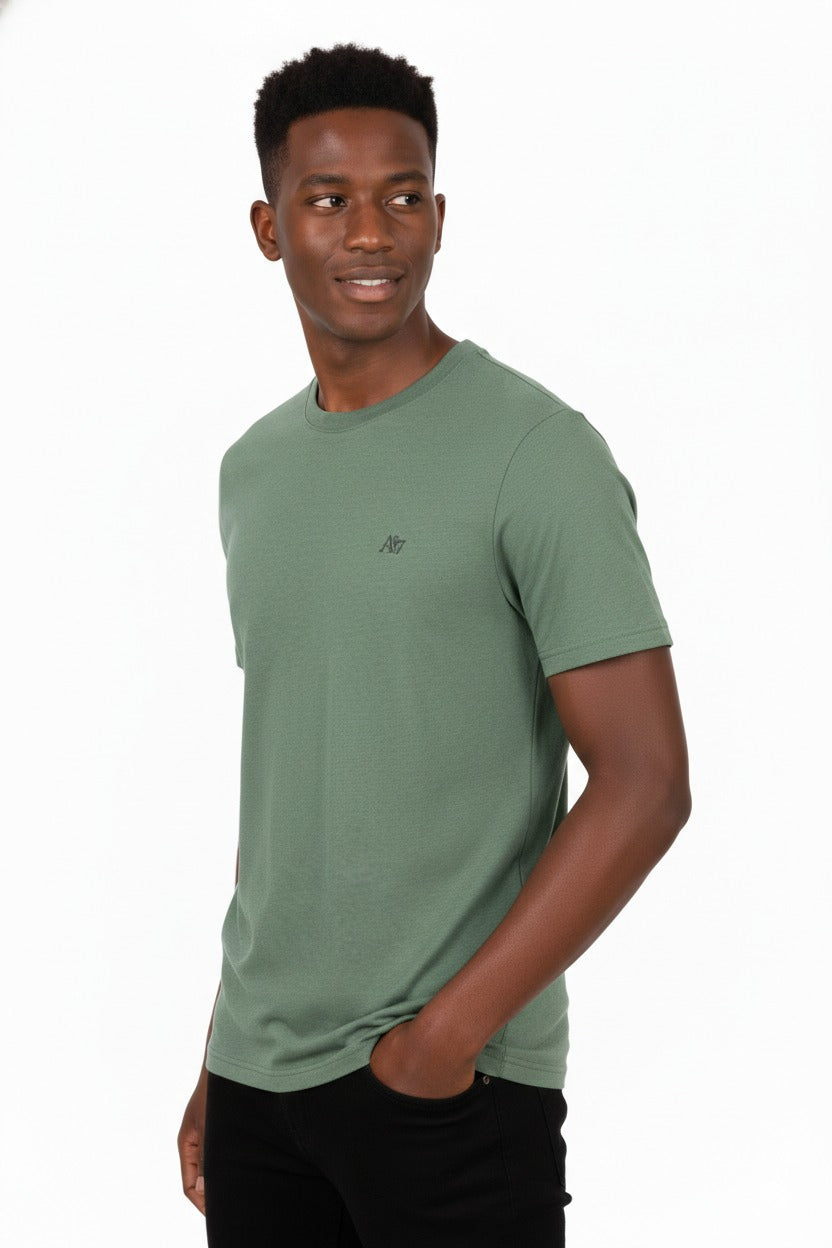 Camiseta Basica Green Gables Para Hombre Aeropostale Guys Ss Tees 4204